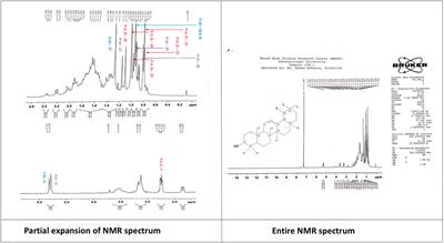 First-time report on compound isolation from two Colocasia species: vegetable-derived bioactive metabolites and their medicinal potential